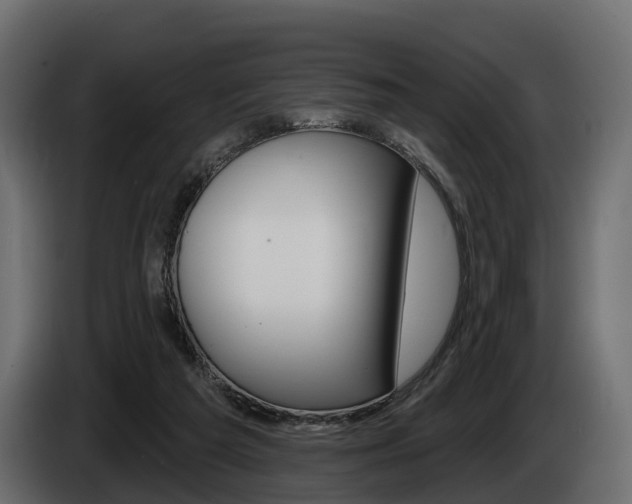 X0000085020209200703050945