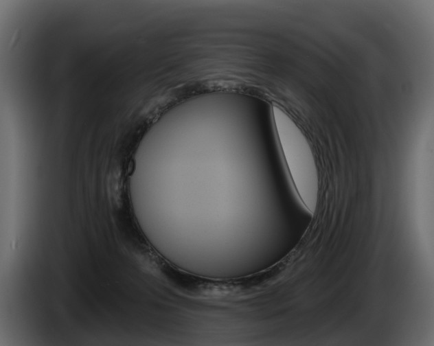 X0000085020223200703050944