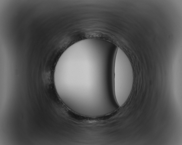 X0000085020224200703050944