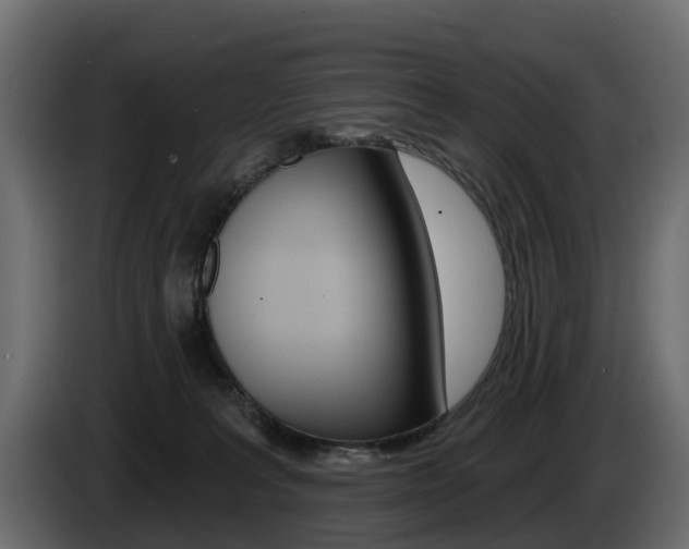 X0000085020227200703050944
