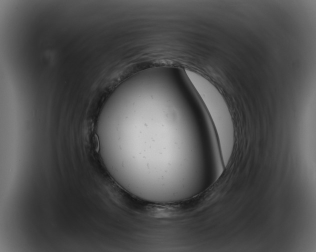 X0000085020229200703050944