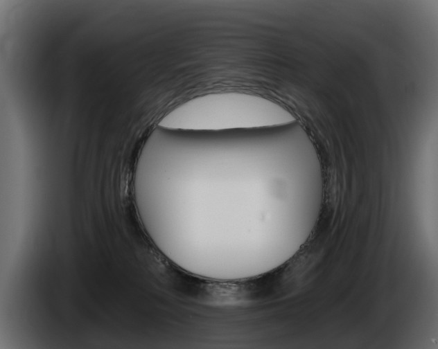 X0000085020230200703050944
