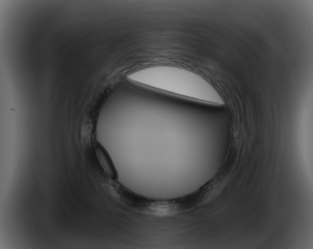 X0000085020231200703050944