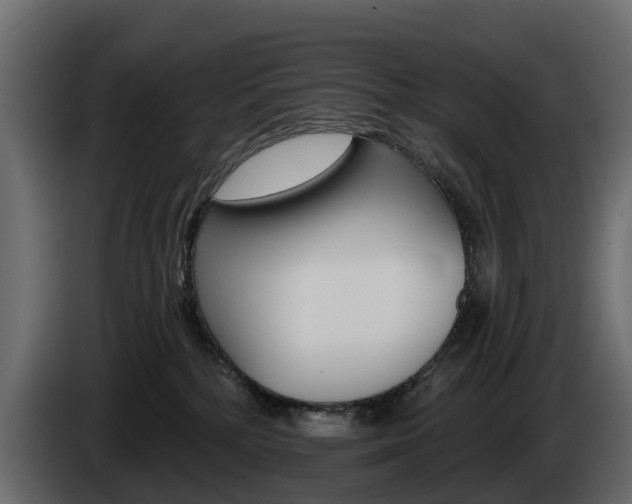 X0000085020232200703050944