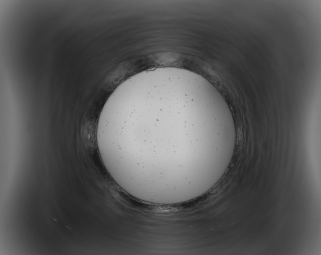 X0000085020234200703050944