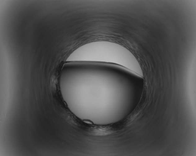 X0000085020235200703050944