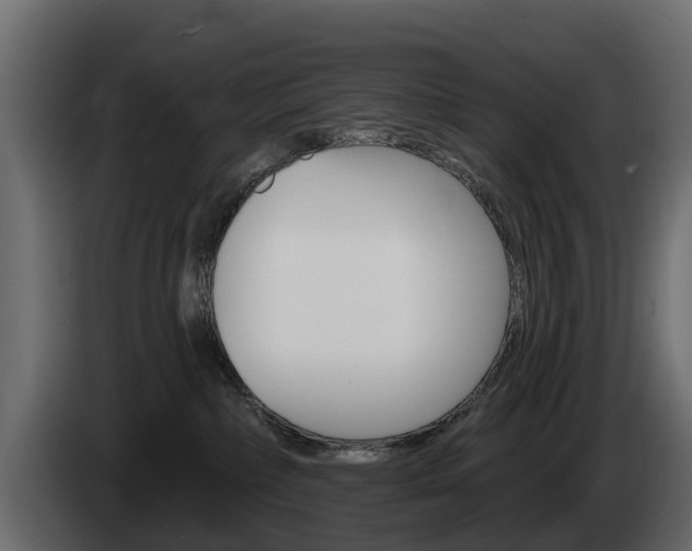 X0000085020236200703050944
