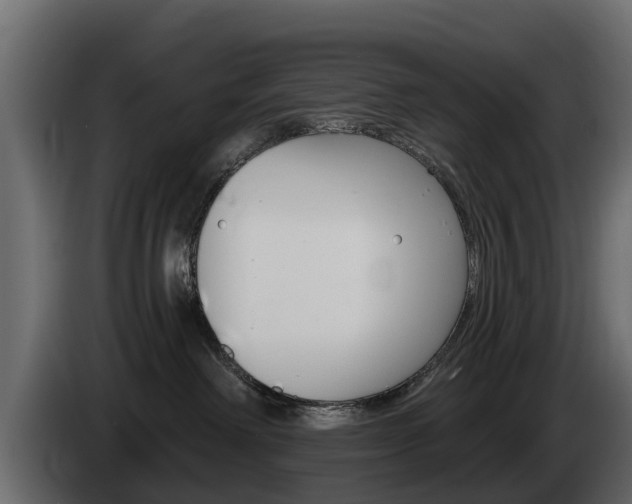 X0000085020238200703050944