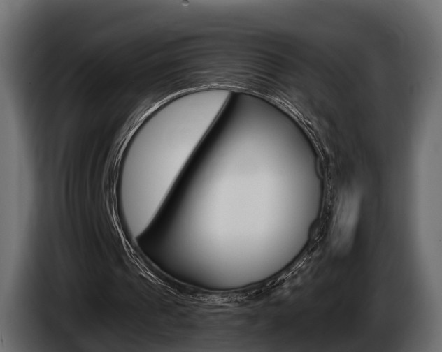 X0000085020241200703050943