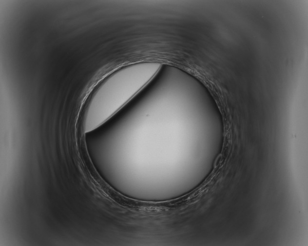 X0000085020242200703050943
