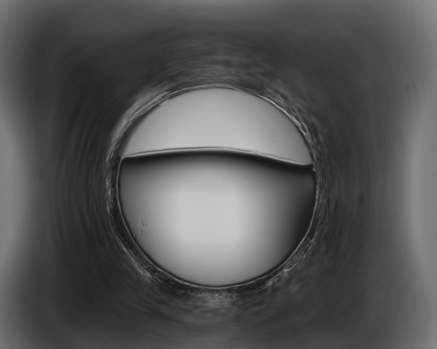 X0000085020245200703050943