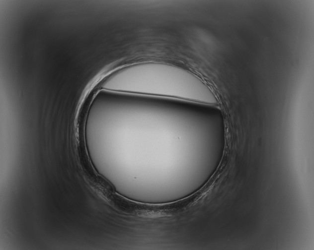 X0000085020246200703050944
