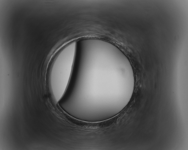 X0000085020247200703050944