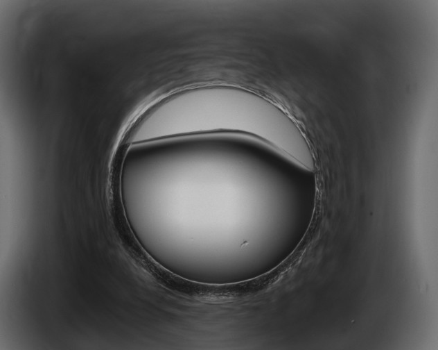 X0000085020248200703050944