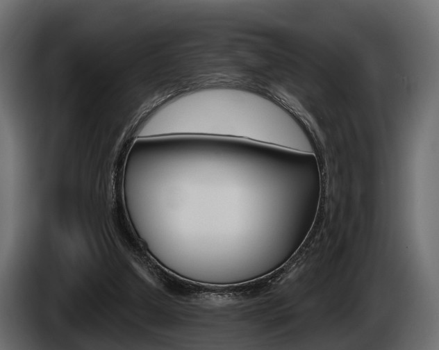 X0000085020250200703050944