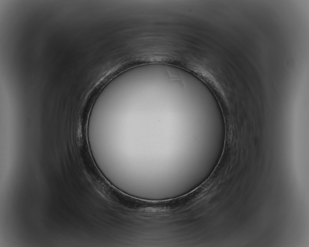 X0000085020251200703050944