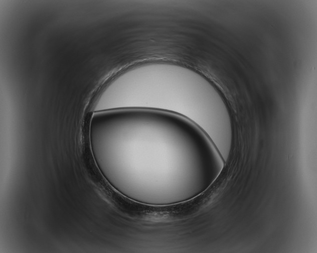 X0000085020252200703050944