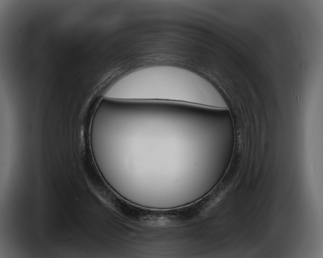 X0000085020254200703050944