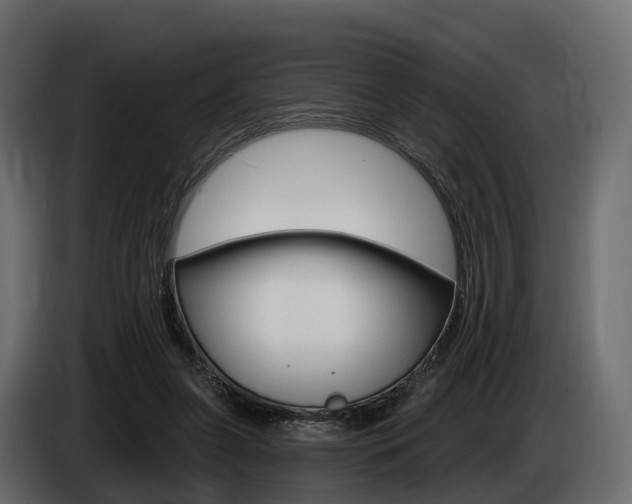 X0000085020255200703050944