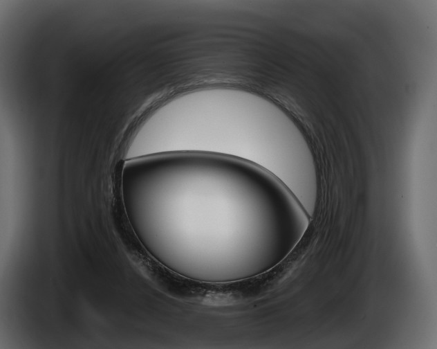 X0000085020256200703050944