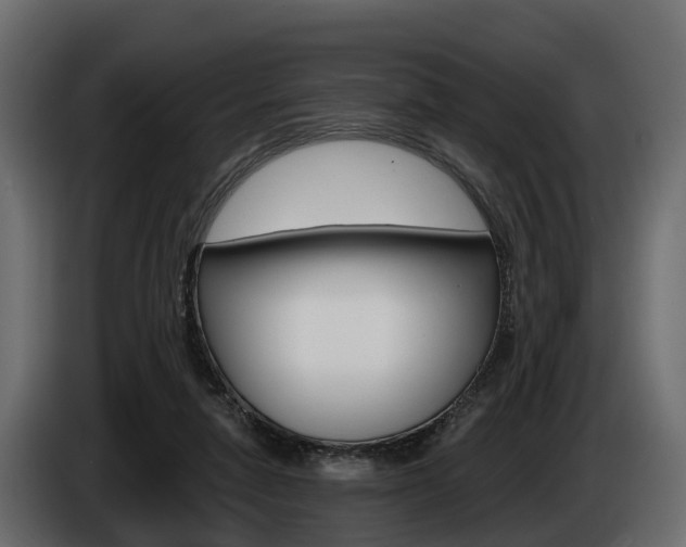 X0000085020258200703050944