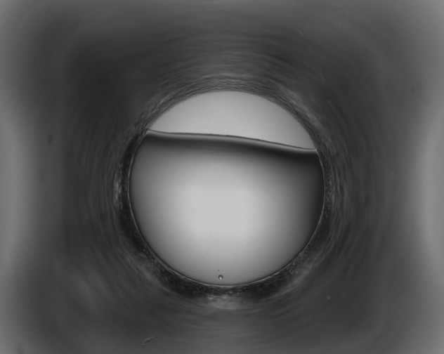 X0000085020259200703050944