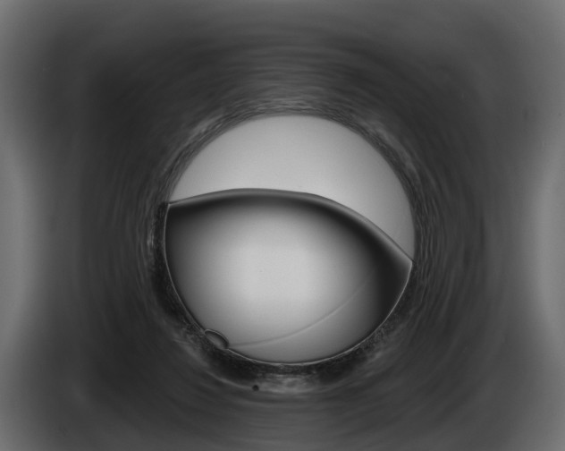 X0000085020260200703050944