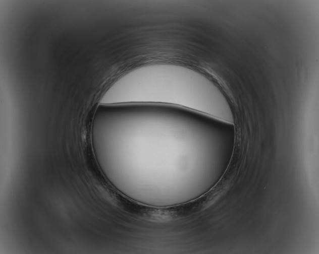 X0000085020261200703050944