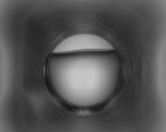 X0000085020262200703050944