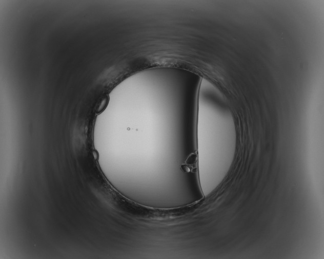 X0000085020263200703050944