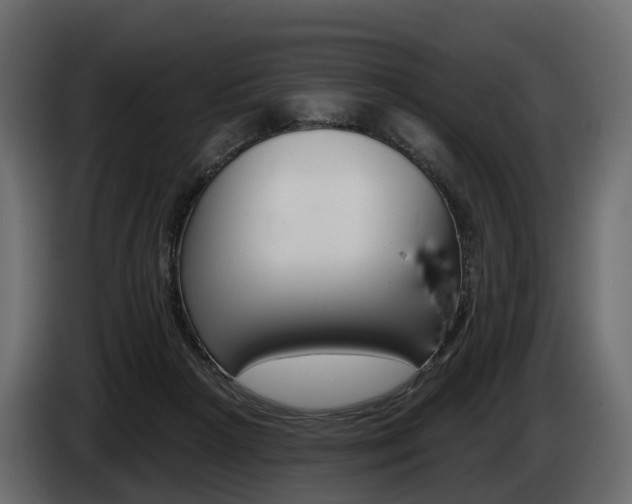 X0000085020265200703050944