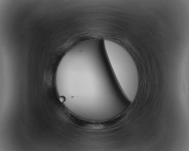 X0000085020266200703050944