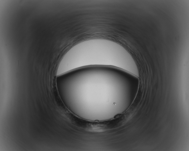 X0000085020268200703050944