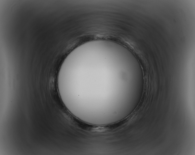 X0000085020269200703050944