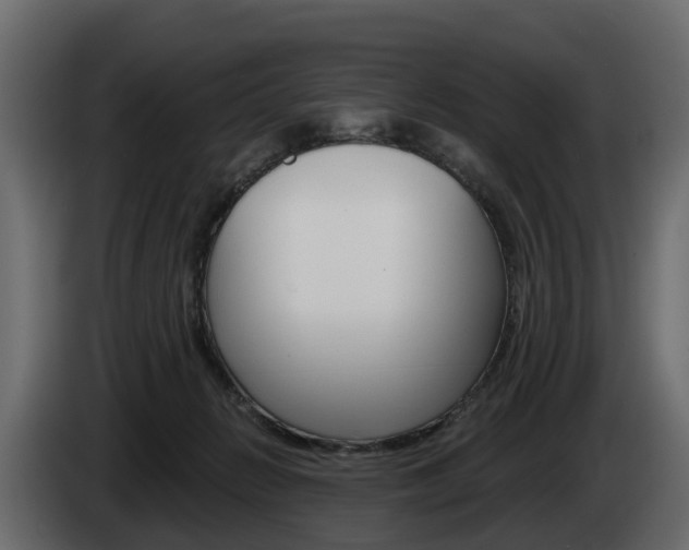 X0000085020270200703050944