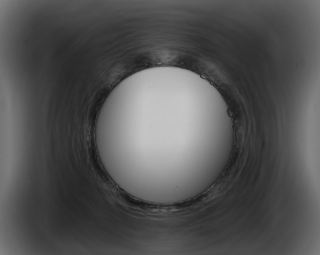 X0000085020274200703050944