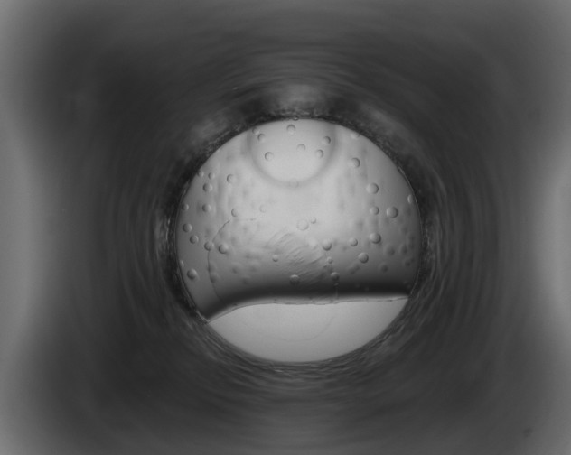X0000085020278200703050944