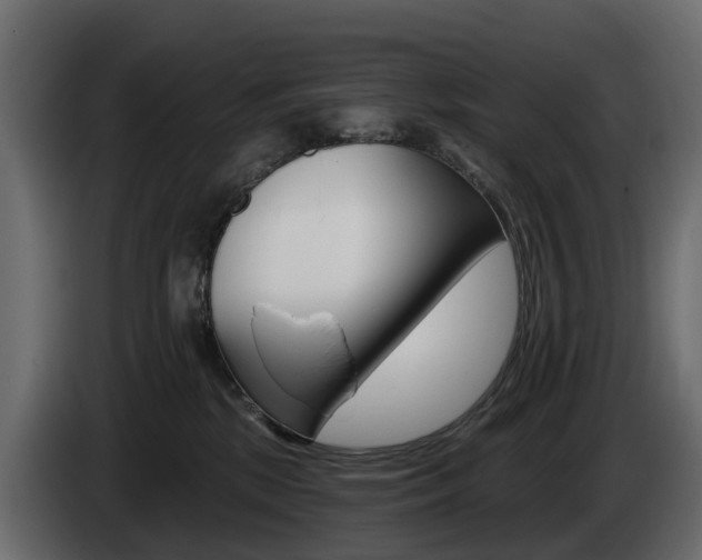 X0000085020281200703050944