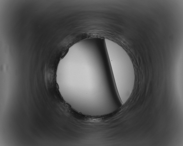 X0000085020283200703050944