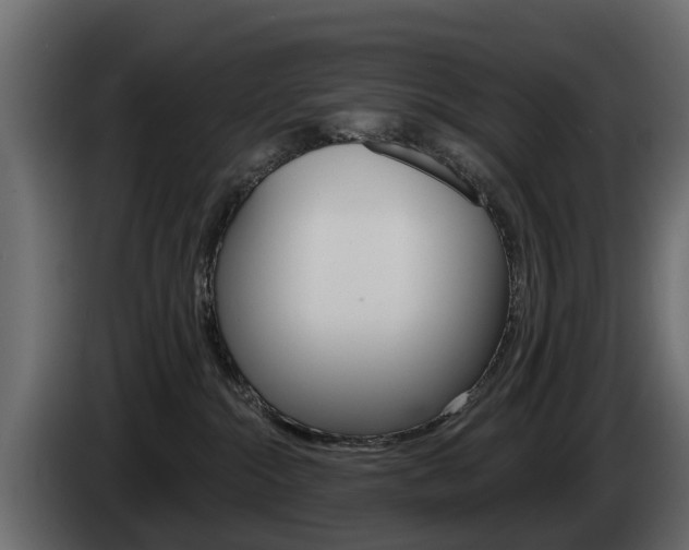 X0000085020284200703050944