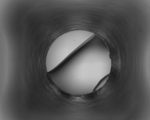 X0000085020285200703050944