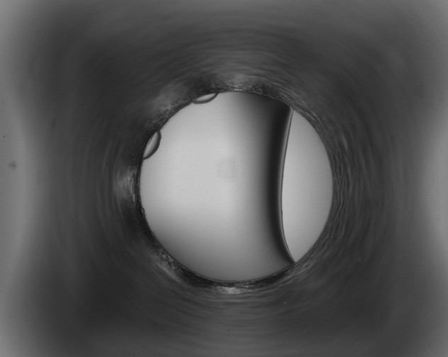X0000085020286200703050944