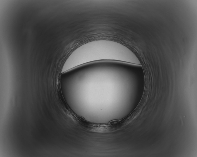 X0000085020288200703050944