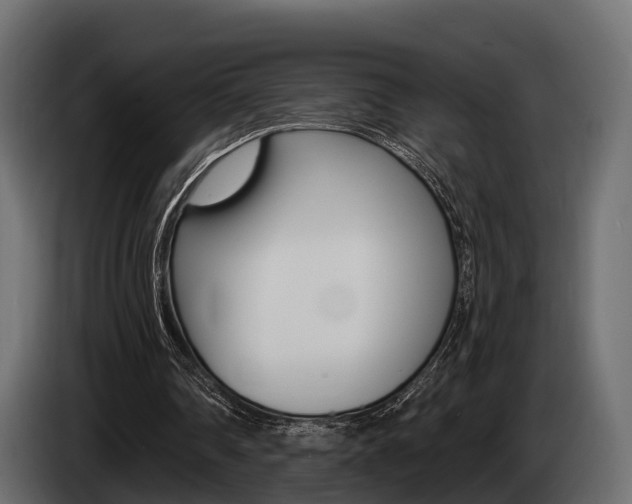 X0000085020290200703050943