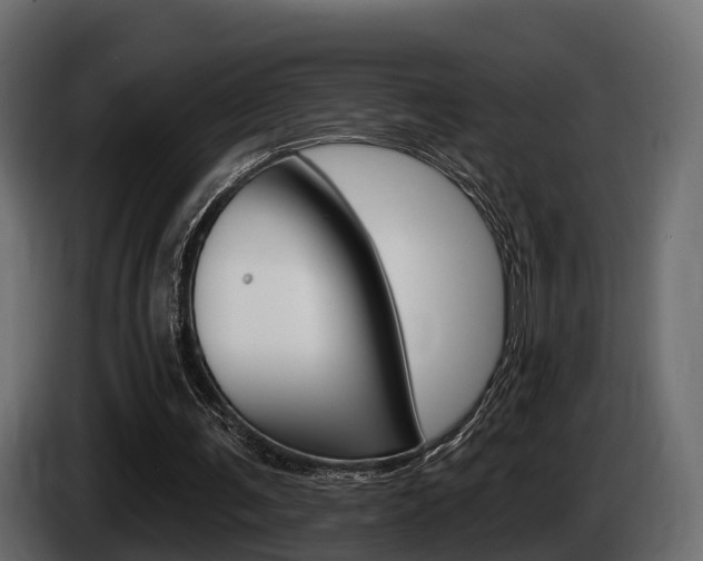 X0000085020291200703050943