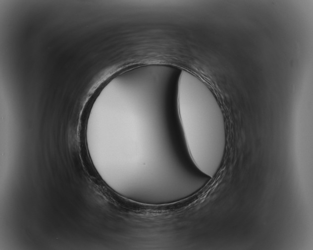 X0000085020292200703050943
