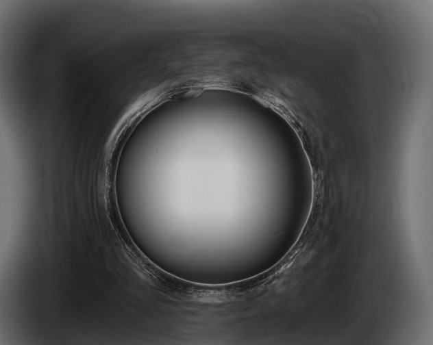 X0000085020293200703050943