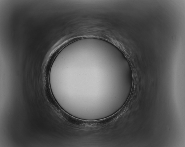 X0000085020295200703050943