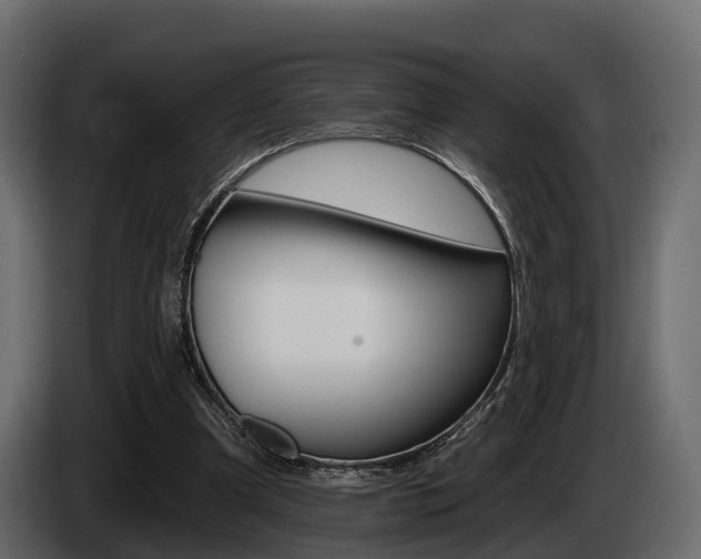 X0000085020297200703050943