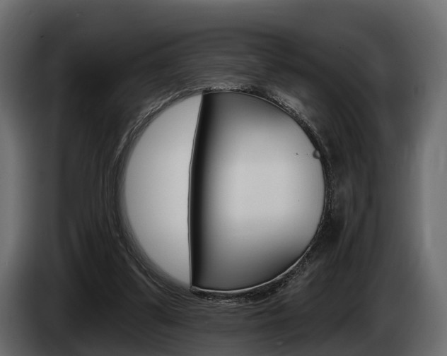 X0000085020299200703050943